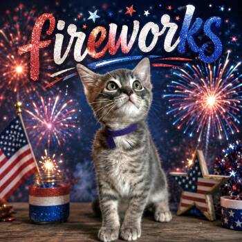 Fireworks -  Domestic Short Hair Cat for Adoption in Brownsboro, Alabama - Fireworks | PetCurious