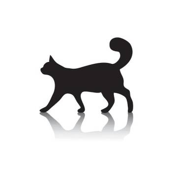 Posie -  Domestic Short Hair Cat for Adoption in Columbus, North Carolina - Posie | PetCurious
