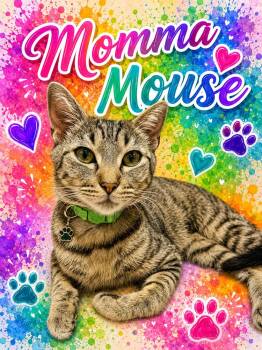 Mama Mouse Griffey Lozano -  Domestic Short Hair Cat for Adoption in Galt, California - Mama Mouse Griffey Lozano | PetCurious
