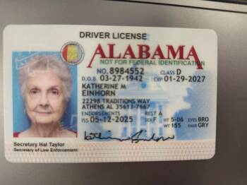 Domestic Short Hair Cats Available for Adoption in Athens, Alabama - SAMMY | PetCurious