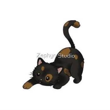 Golf -  Domestic Short Hair Cat for Adoption in West Olive, Michigan - Golf | PetCurious