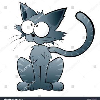 Domestic Short Hair Cats Available for Adoption in Lake Jackson, Texas - Sushi | PetCurious