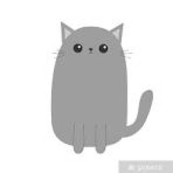 Olympia (Holland Cat Cove) -  Domestic Short Hair Cat for Adoption in West Olive, Michigan - Olympia (Holland Cat Cove) | PetCurious