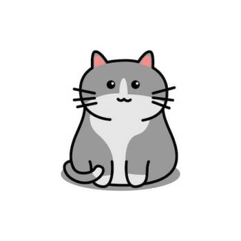 Archie -  Domestic Short Hair Cat for Adoption in West Olive, Michigan - Archie | PetCurious