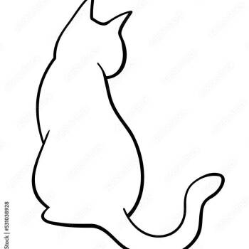 Tagged Stray_2 -  Domestic Short Hair Cat Available for Adoption in TIMBERCRK CYN, Texas - Tagged Stray_2 | PetCurious