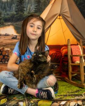 Twixie -  Domestic Short Hair Cat for Adoption in Lapeer, Michigan - Twixie | PetCurious