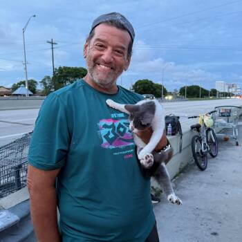 Jorges (An unhoused mans) beloved -  Russian Blue and Domestic Short Hair Cat for Adoption in Boca Raton, Florida - Jorges (An Unhoused Mans) Beloved | PetCurious