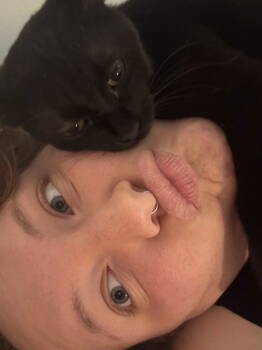 Rescue Domestic Short Hair Cats for Adoption - Skye | PetCurious