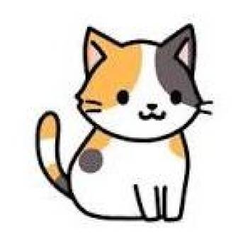Callie -  Domestic Short Hair Cat for Adoption in West Olive, Michigan - Callie | PetCurious