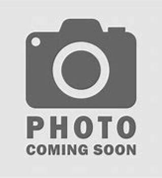 Rescue Domestic Short Hair Cats for Adoption in Sprakers, New York - Cairo | PetCurious