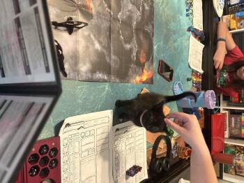 Domestic Short Hair Cats Available for Adoption in Dixon, California - Prospero | PetCurious