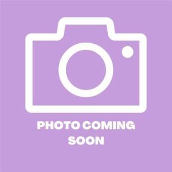 Rescue Domestic Long Hair Cats for Adoption in El Paso, Texas - 59841763 | PetCurious