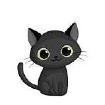 Missy -  Domestic Short Hair Cat for Adoption in West Olive, Michigan - Missy | PetCurious