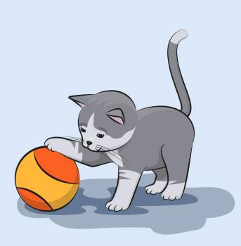 AA Kitten -  Domestic Short Hair Cat for Adoption in South Bend, Indiana - AA Kitten | PetCurious