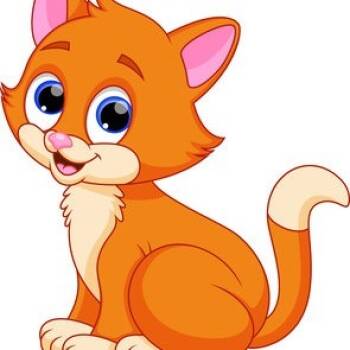 Rescue Domestic Short Hair Cats for Adoption in Blue Ridge, Georgia - Scott 1 FK | PetCurious