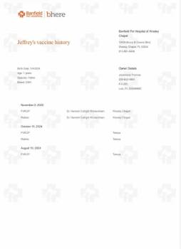 Domestic Short Hair Cats Available for Adoption - Jeffrey | PetCurious