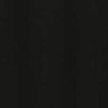 Rescue Domestic Short Hair Cats for Adoption in Lake Jackson, Texas - Shade | PetCurious