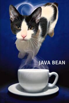 Java Bean -  Domestic Short Hair Cat for Adoption in Whiting, Indiana - Java Bean | PetCurious