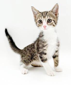 Lucy is our lil