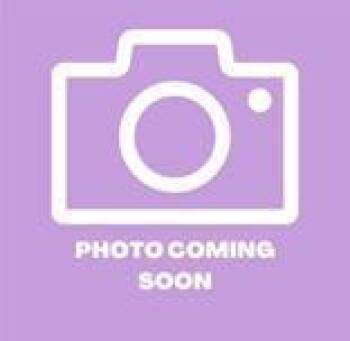 61537318 -  Domestic Short Hair Cat for Adoption in El Paso, Texas - 61537318 | PetCurious
