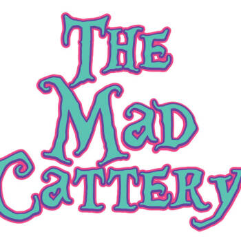 Rescue Domestic Short Hair Cats for Adoption in Lake Jackson, Texas - Grace | PetCurious