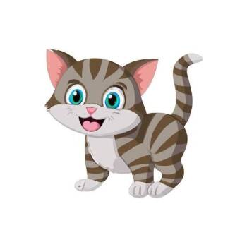 Softball -  Domestic Short Hair Cat for Adoption in West Olive, Michigan - Softball | PetCurious
