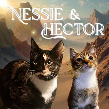 Rescue Domestic Short Hair Cats for Adoption in Laurel, Maryland - The Story Of Nessie & Hector | PetCurious