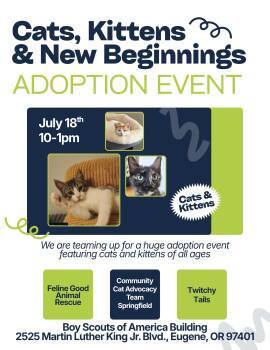 Multi Rescue Adoption Event 7/18 10-1pm -  Domestic Short Hair Cat for Adoption in Eugene, Oregon - Multi Rescue Adoption Event 7/18 10-1pm | PetCurious