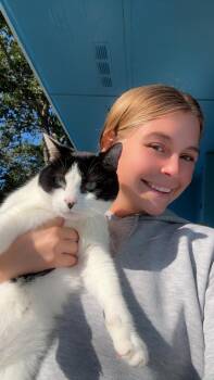 Rescue Domestic Short Hair Cats for Adoption in Port Orange, Florida - Trixie (mom Dying Cancer) *video PURR Machine | PetCurious