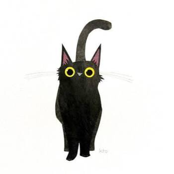 Gremlin -  Domestic Short Hair Cat for Adoption in West Olive, Michigan - Gremlin | PetCurious