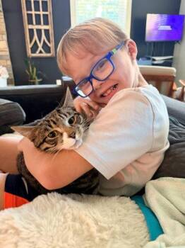 Carp -  Domestic Short Hair Cat for Adoption in Berwick, Pennsylvania - Carp | PetCurious