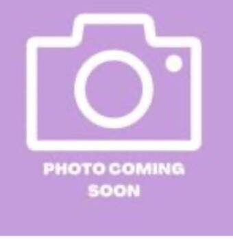 Salem -  Domestic Medium Hair Cat for Adoption in El Paso, Texas - Salem | PetCurious