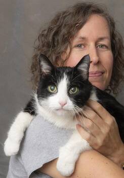 Rescue Domestic Short Hair Cats for Adoption in Chicago, Illinois - Zoe | PetCurious