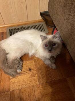 Willow-Cindy