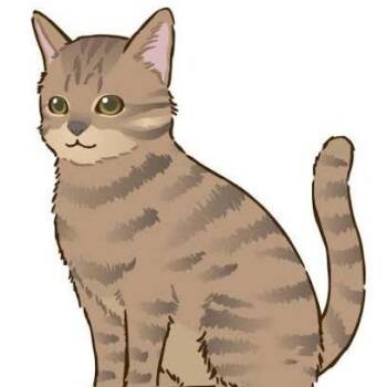 Frijoles -  Domestic Short Hair Cat for Adoption in West Olive, Michigan - Frijoles | PetCurious