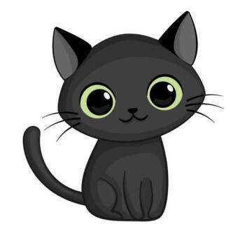 Zach -  Domestic Short Hair Cat for Adoption in West Olive, Michigan - Zach | PetCurious