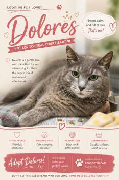 Dolores (FCID# 05/12/2026 - 54 Trainer) -  Tabby Cat for Adoption in Greenville, Delaware - Dolores (FCID# 05/12/2026 - 54 Trainer) | PetCurious