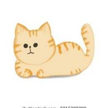 Delling (Holland Cat Cove) -  Domestic Short Hair Cat for Adoption in West Olive, Michigan - Delling (Holland Cat Cove) | PetCurious