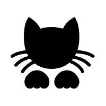 Wallie -  Domestic Short Hair Cat for Adoption in Columbus, North Carolina - Wallie | PetCurious