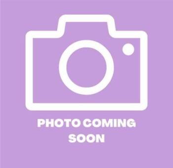 Orpheus -  Domestic Long Hair Cat for Adoption in El Paso, Texas - Orpheus | PetCurious