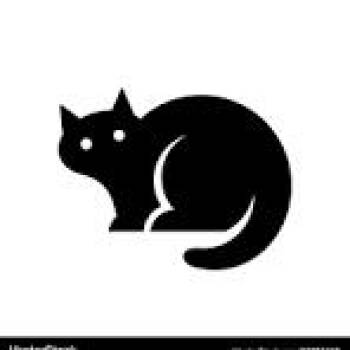 Catwoman -  Domestic Short Hair Cat for Adoption in Columbus, North Carolina - Catwoman | PetCurious