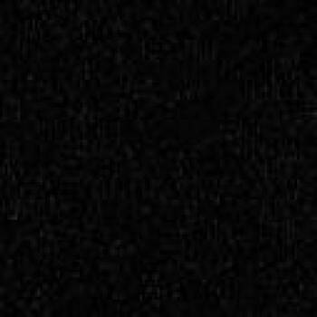 Domestic Short Hair Cats Available for Adoption in Blair, Wisconsin - Tartar Sauce | PetCurious