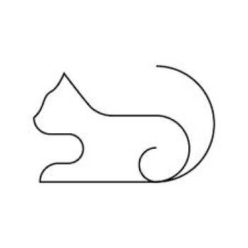 Mickey Dee -  Domestic Medium Hair Cat for Adoption in Columbus, North Carolina - Mickey Dee | PetCurious