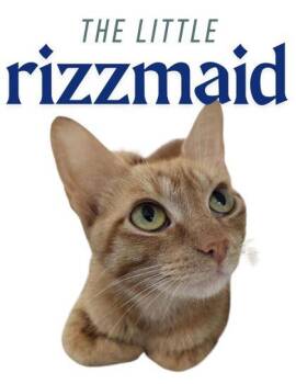 The Lil` Rizzmaid -  Domestic Short Hair Cat for Adoption in Columbus, Indiana - The Lil` Rizzmaid | PetCurious