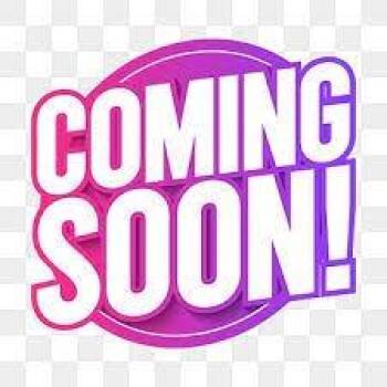 Domestic Short Hair Cats Available for Adoption in San Pablo, California - Tina | PetCurious