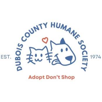 Domestic Medium Hair Cats Available for Adoption - Blue | PetCurious