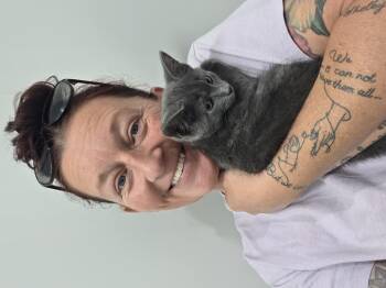 Dewy -  Domestic Short Hair Cat for Adoption in Delray, West Virginia - Dewy | PetCurious