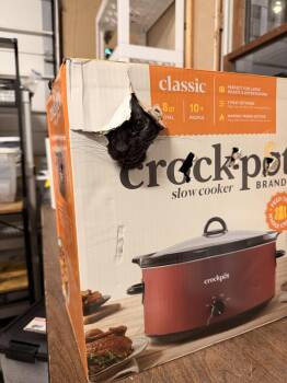 Domestic Short Hair Cats Available for Adoption - **Cat Cafe** Crockpot | PetCurious