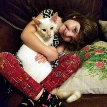 Domestic Short Hair Cats Available for Adoption in Austin, Texas - Algernon | PetCurious