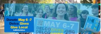 Domestic Short Hair Cats Available for Adoption in Greenville, Delaware - "Delco Gives" May 6-7 | PetCurious